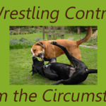 Overcoming Circumstances – a Lesson on Growth from Mushrooms