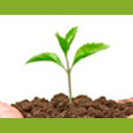 Grow to God – Thoughts on Becoming His Design