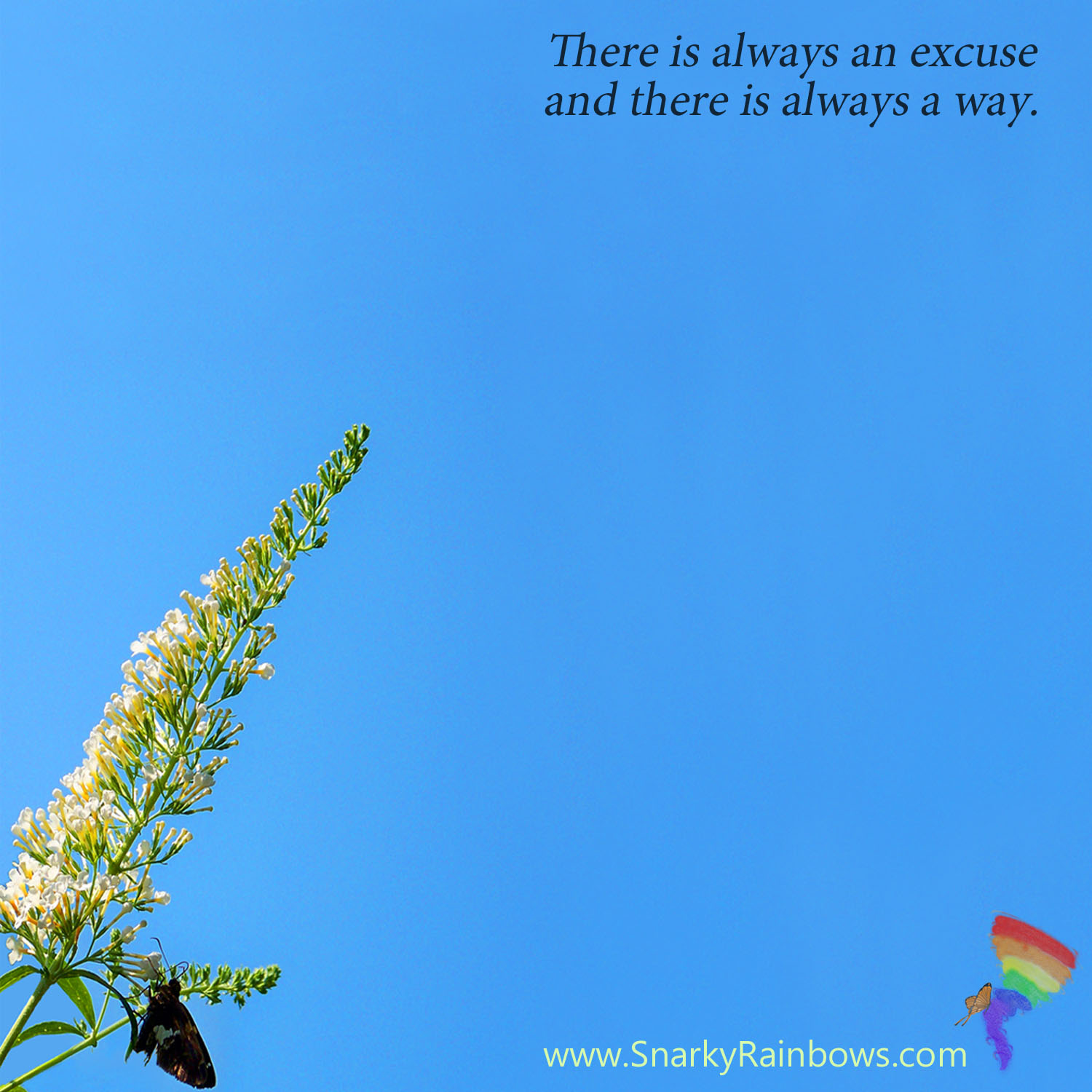 Quote of the Day - excuse or way