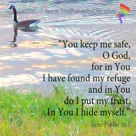 Psalm 16:1 - July 4, 2019 Scripture of the Day