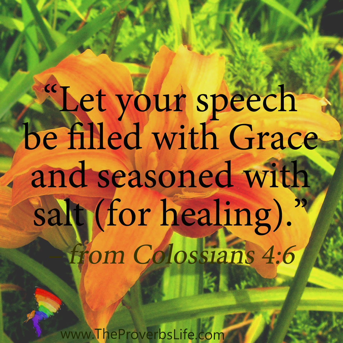 Scripture Focus - Colossians 4:6