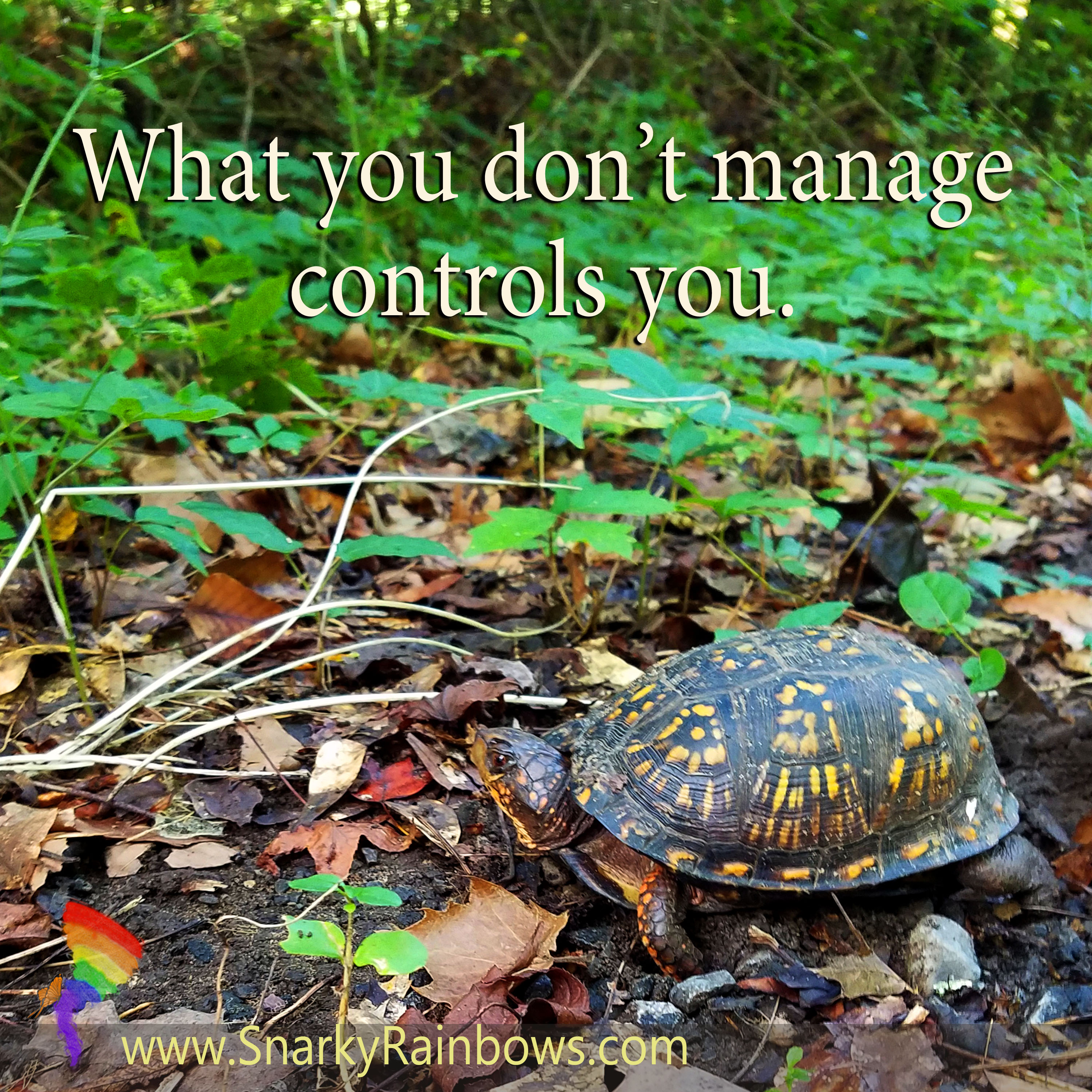 Quote of the Day - manage it