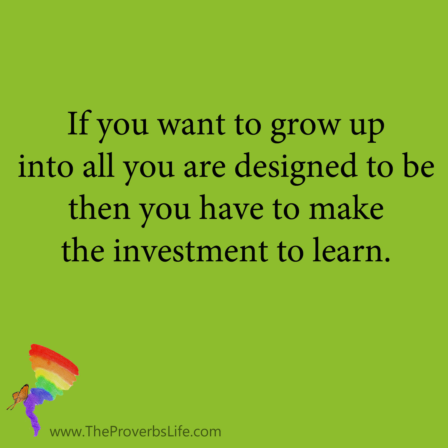 The Proverbs Life Quote - investment in learning
