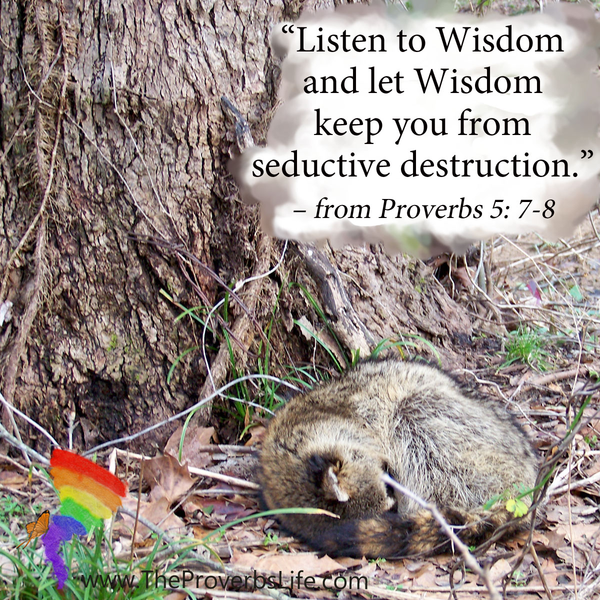 Scripture Focus - Proverbs 5:7-8