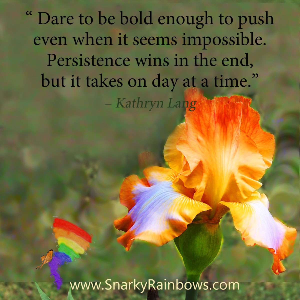 Quote of the Day - be bold enough