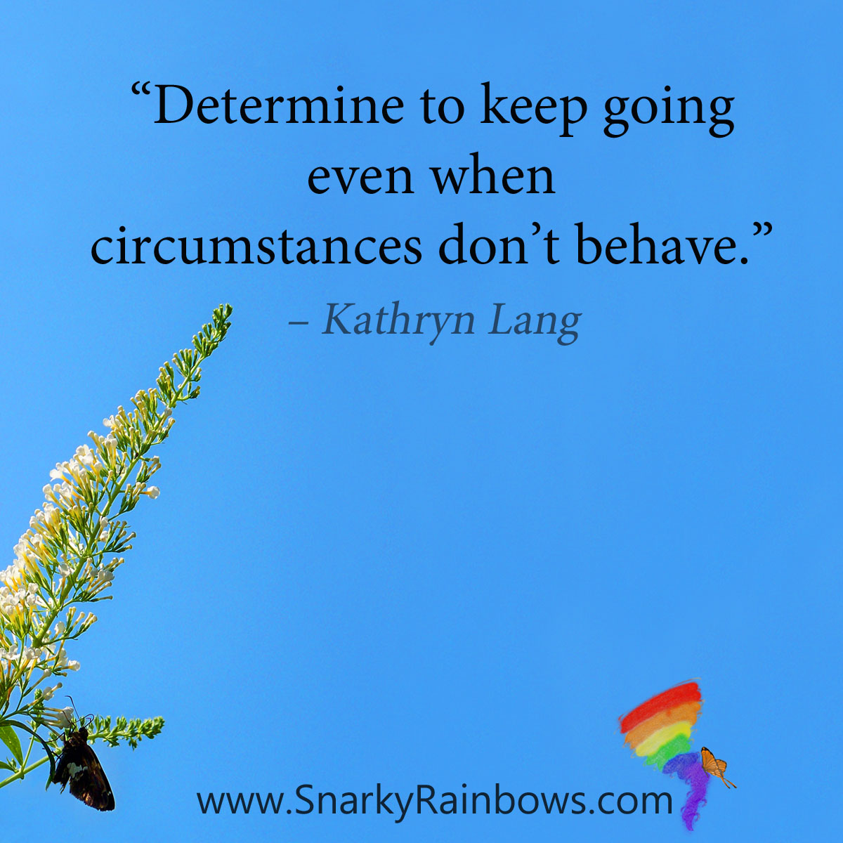 #QuoteoftheDay - determined to keep going