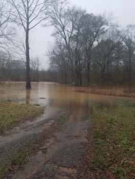 flooded driveway 