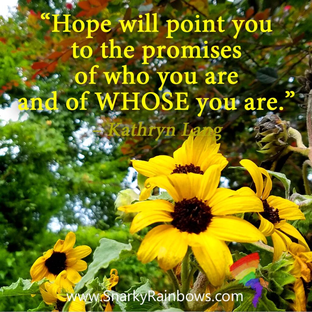 Quote of the day - Hope will point to the promise
