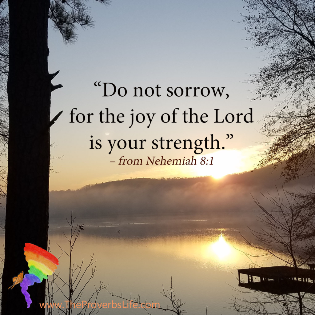 Nehemiah 8:1 Do not sorry, for the joy of the Lord is your strength.