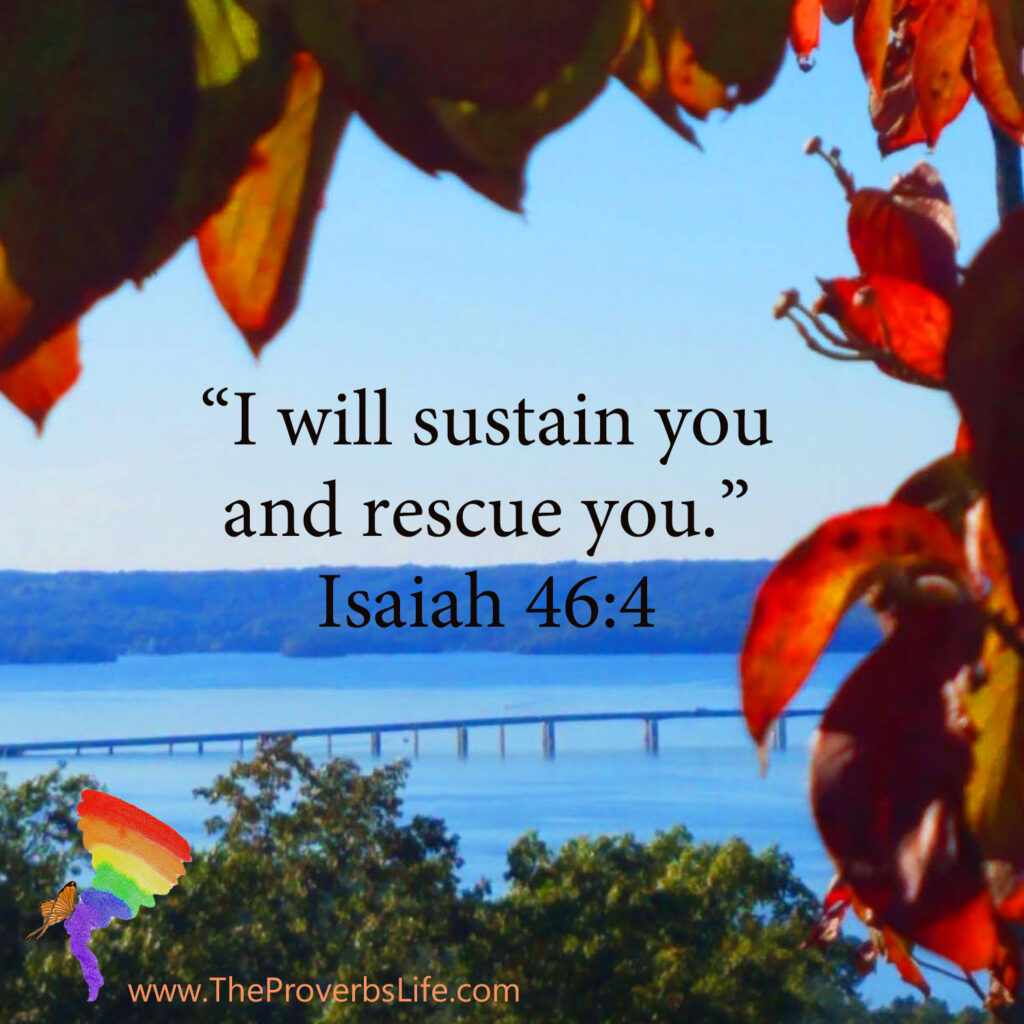 Scripture Quote

“I will sustain you and rescue you.” - Isaiah 46:4