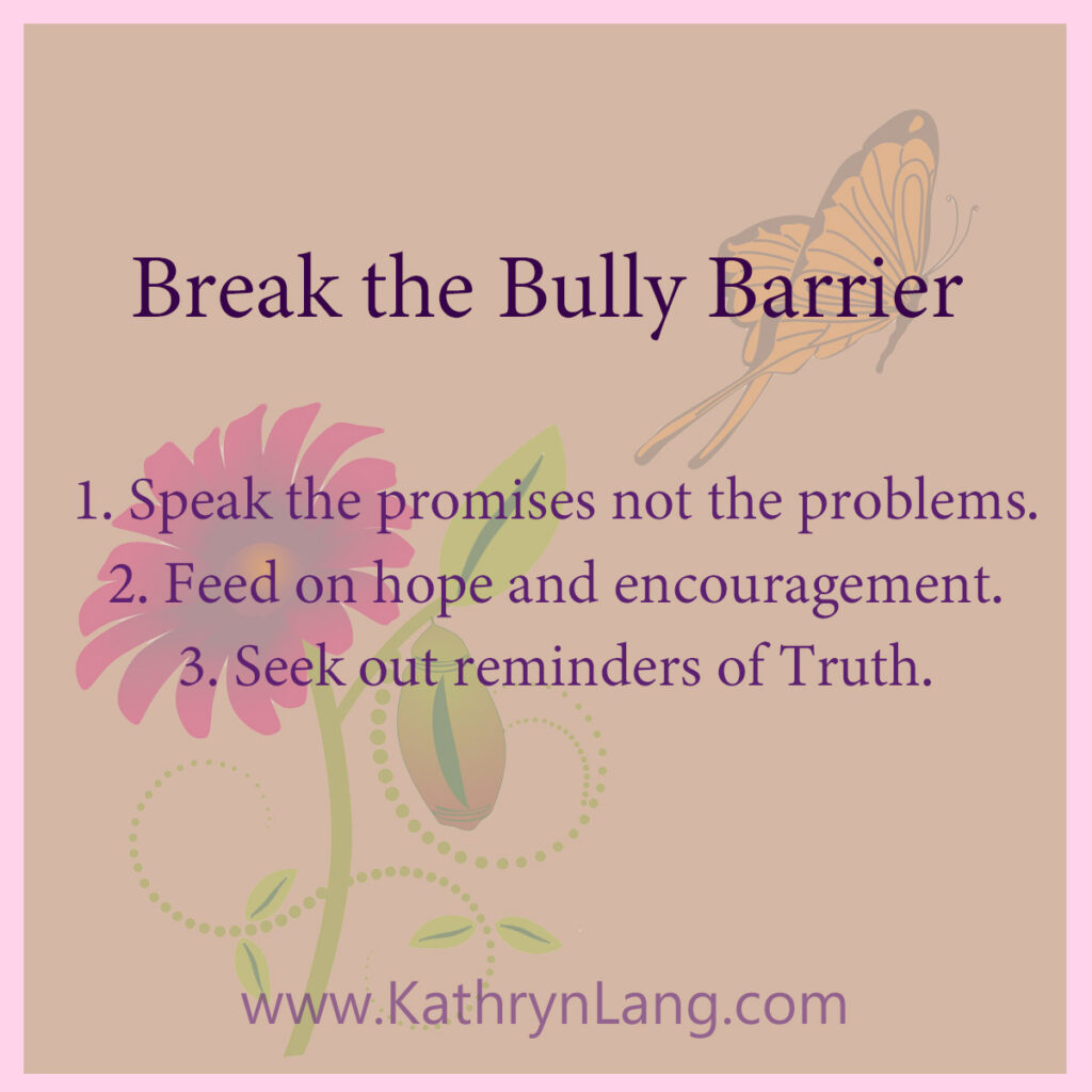 break the bully barrier