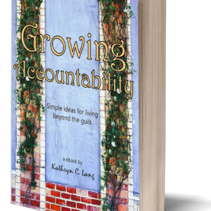 Growing Accountability