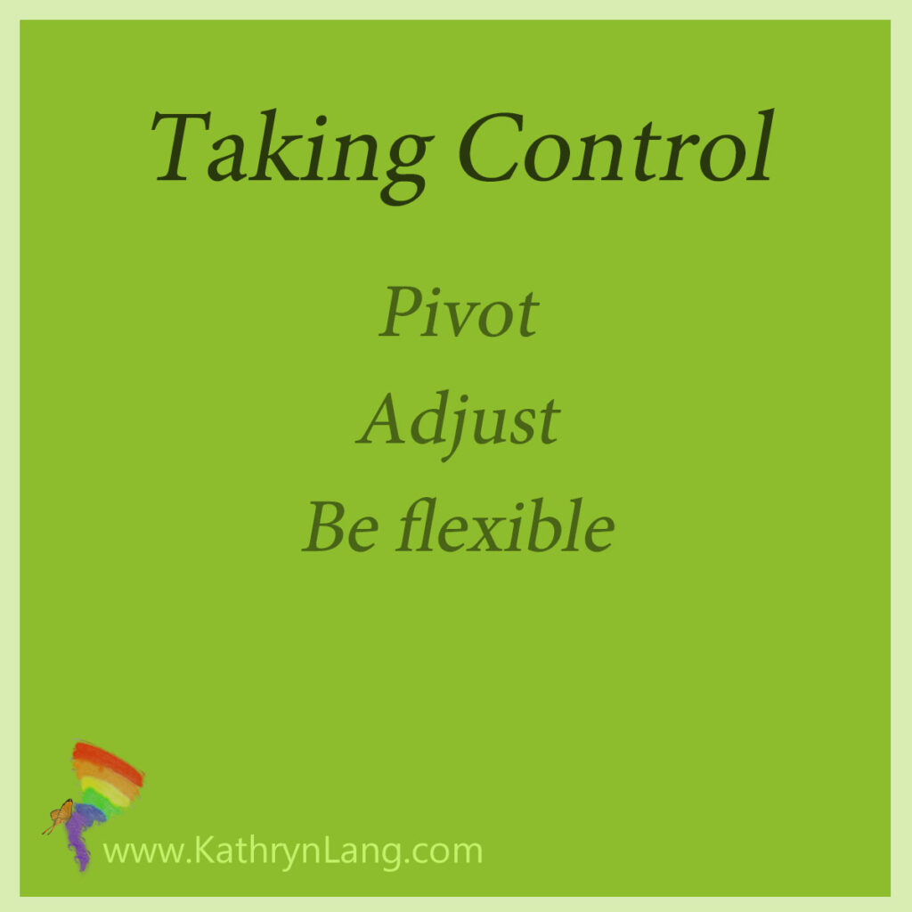 Taking Control

Pivot
Adjust
Be flexible